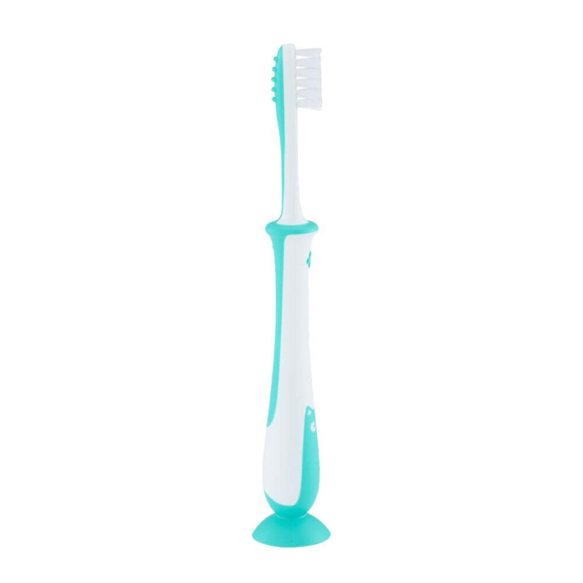 Cepillo Dental Aprendizaje ETAPA4