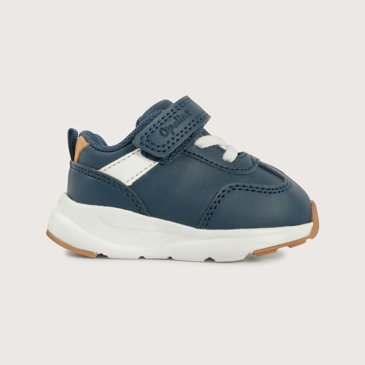 Zapatilla PP Boy Azul / Café