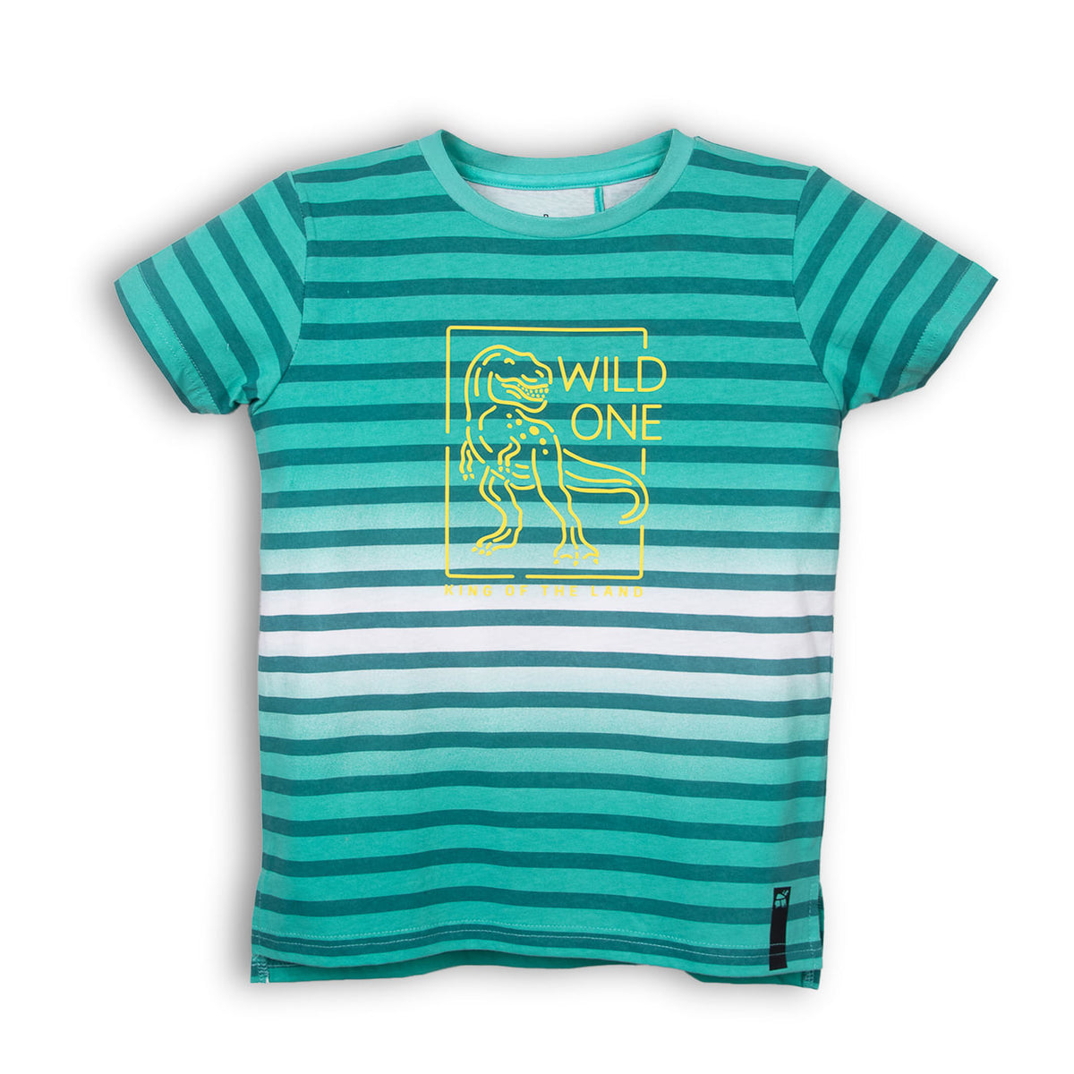 POLERA NINO