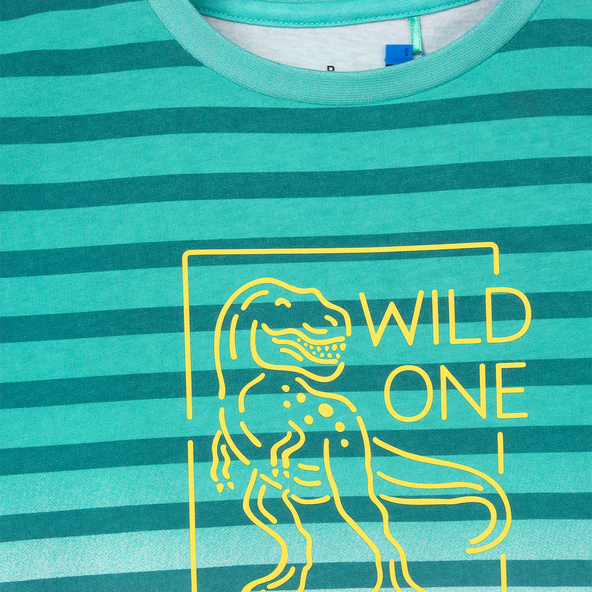 Polera Niño Turquesa / Verde