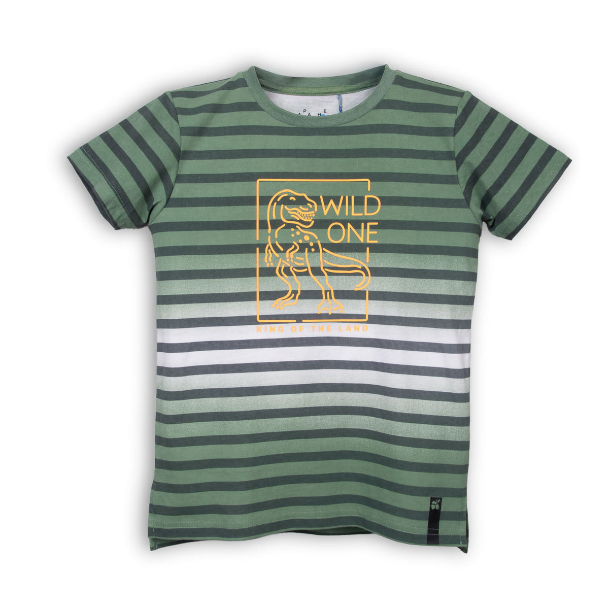 Polera Niño Turquesa / Verde