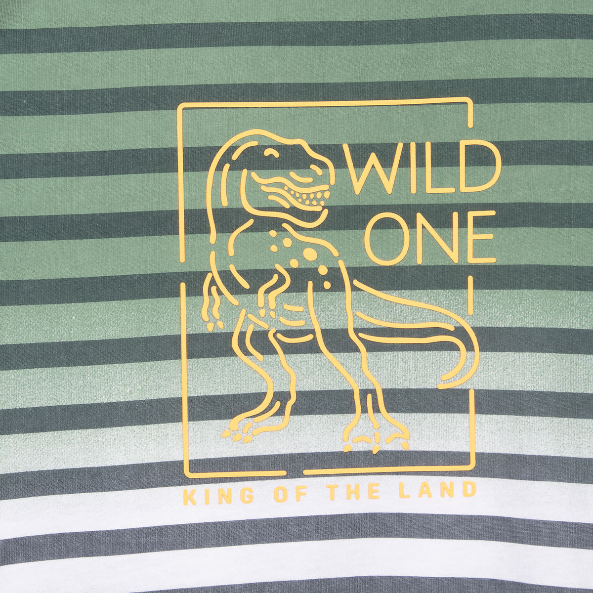 Polera Niño Turquesa / Verde